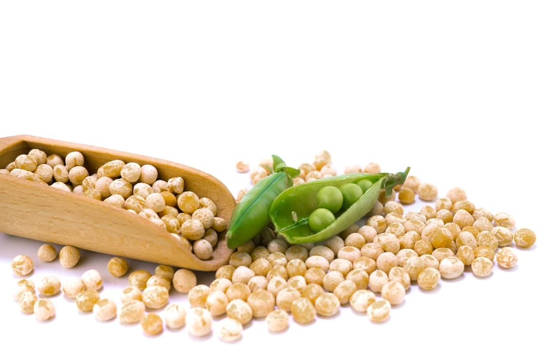 Pea Protein
